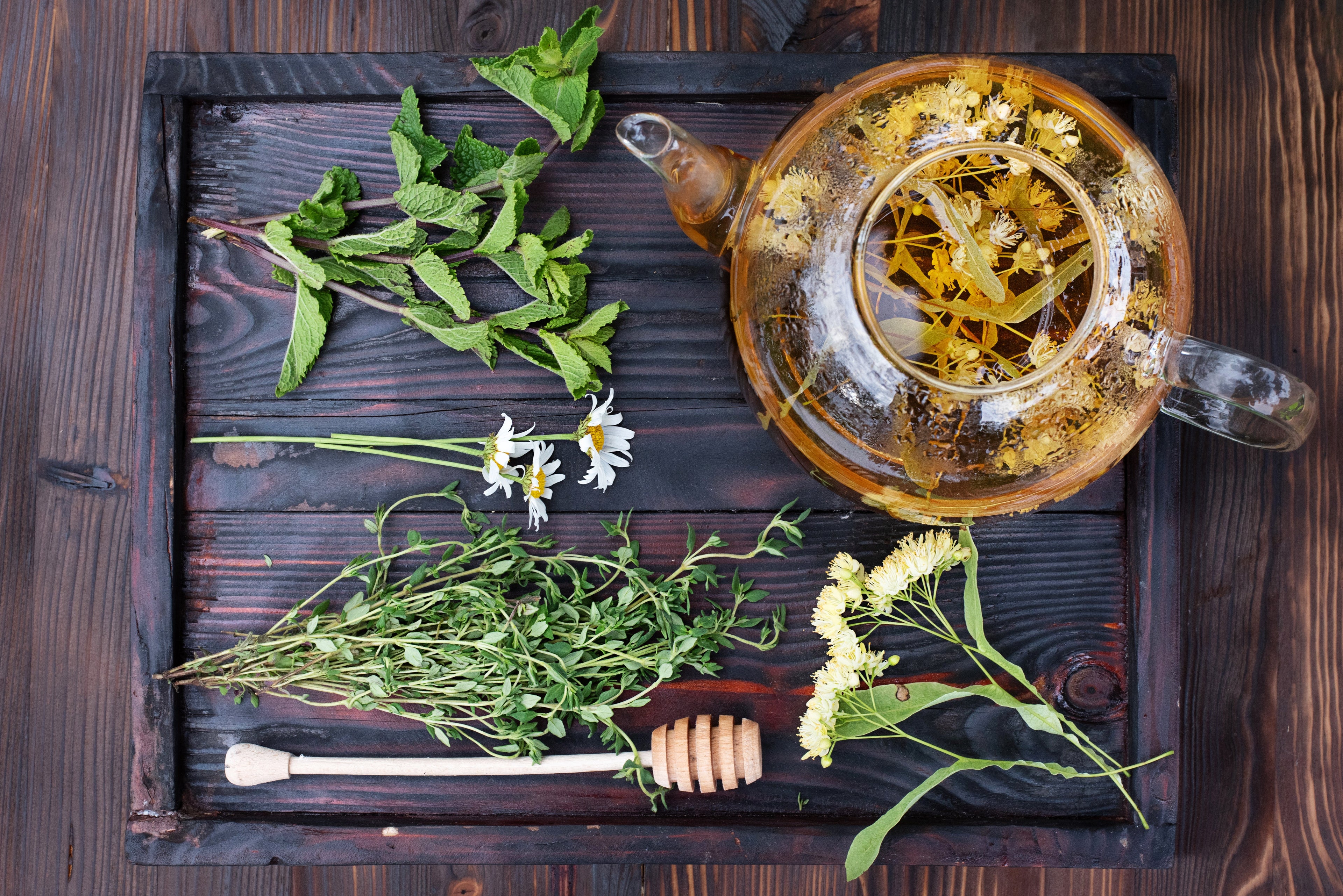 Beyond Hydration: Why Herbal Tea Has Earned a Place in Modern Wellness