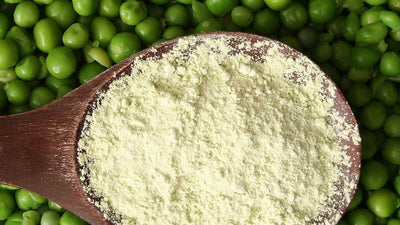 Pea protein concentrate