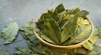 Bay leaf